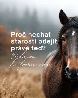 🍂 Podzim je obdobím pouštění. Stejně jako stromy nechávají padat listí, i my máme příležitost odložit, co už nám neslouží....